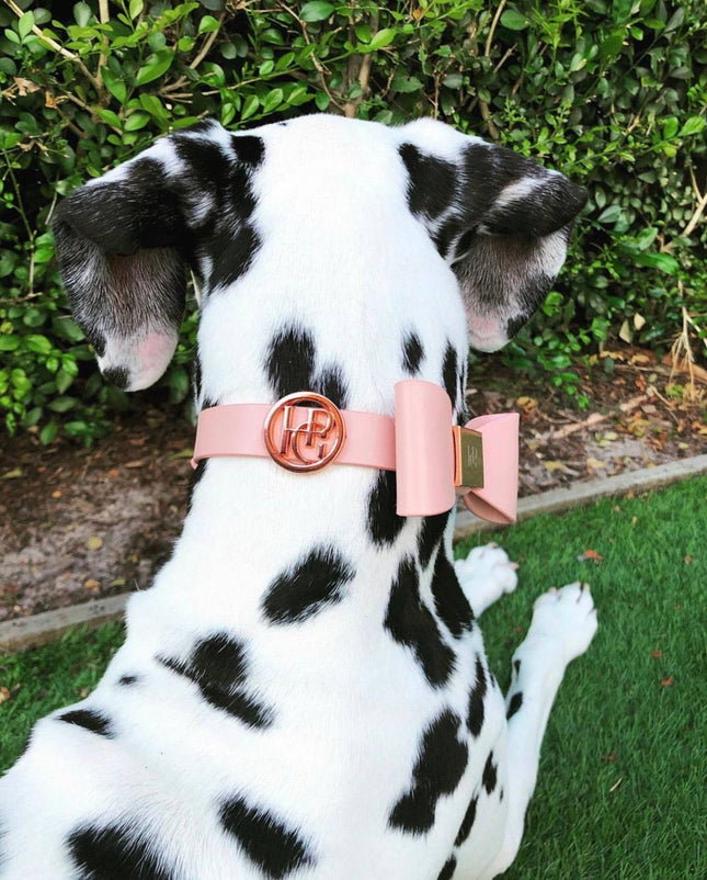 Leather Bow Collar - At Dusk