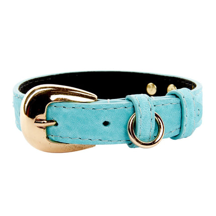 XS Turquoise Blue Italian Leather Collar With Gold Oval Buckle