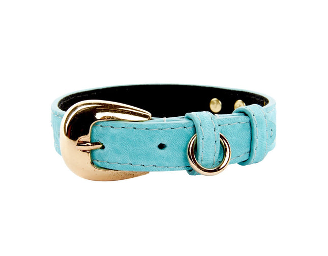 XS Turquoise Blue Italian Leather Collar With Gold Oval Buckle