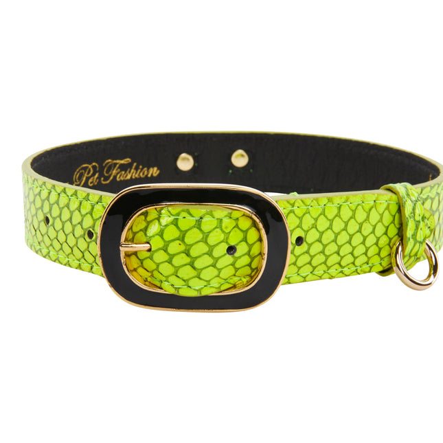 Neon Green Snake/Vintage Black & Gold Italian HardwareCollar