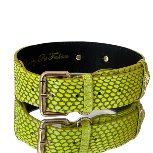 Luxury Pet Fashion Neon Green Snakeskin Collar/Classic Hardware