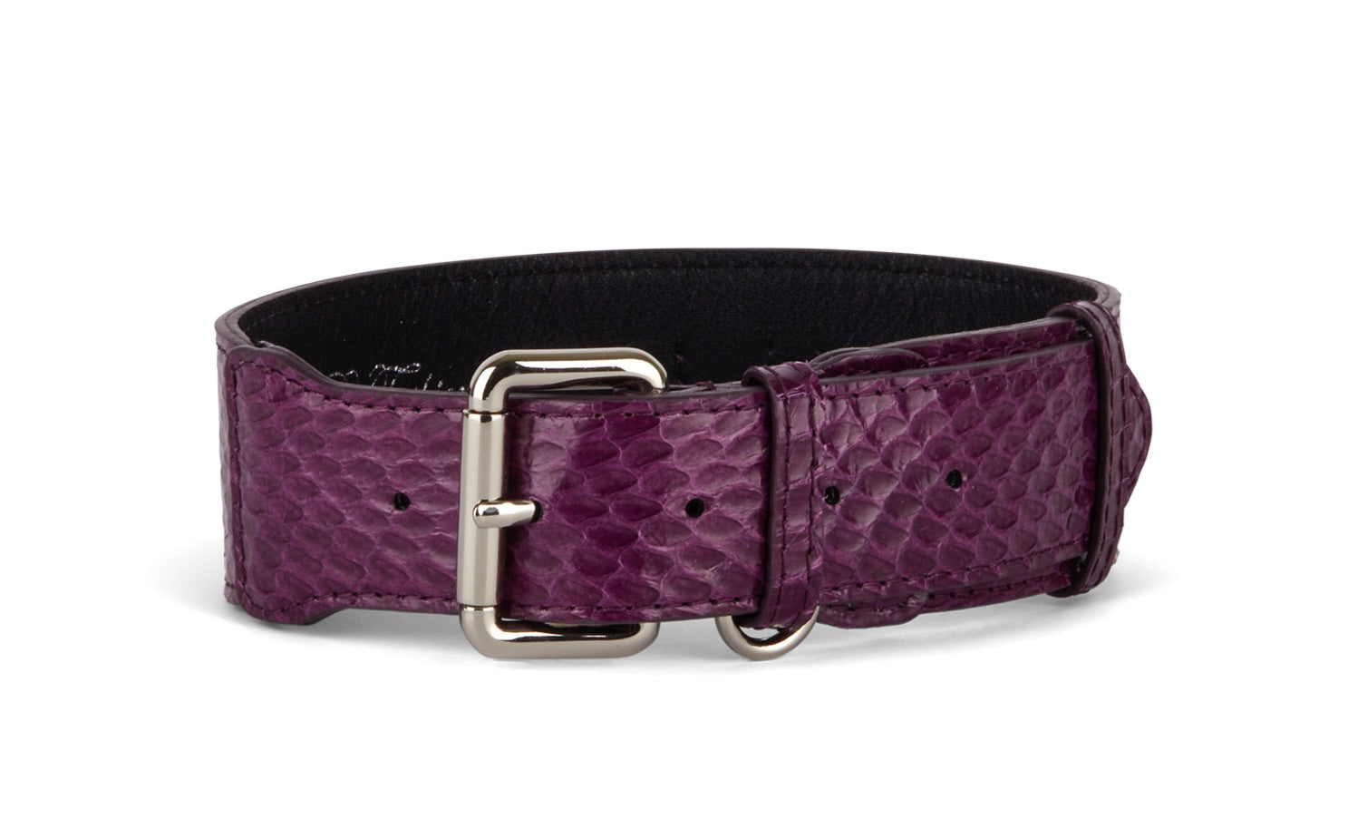 Beautiful, Elegant, Eggplant Purple Snake Classic Collar