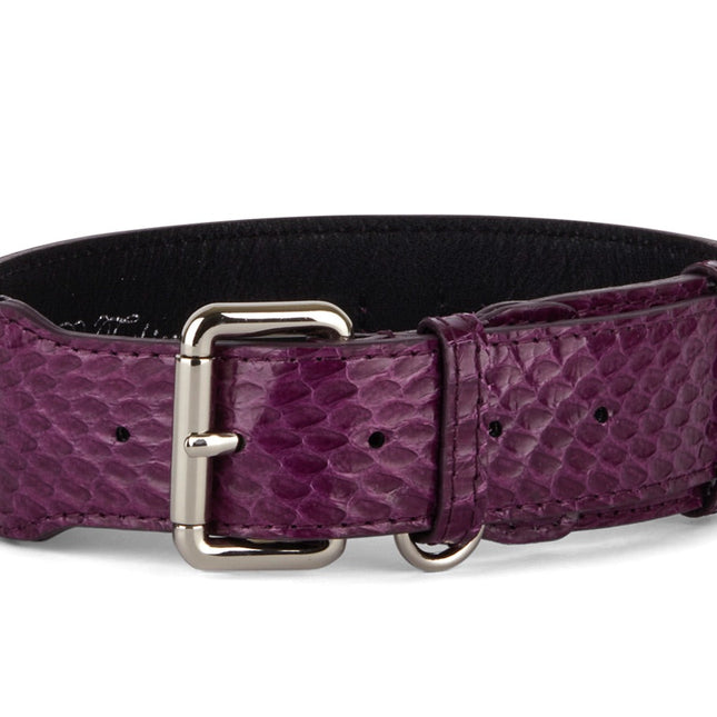 Beautiful, Elegant, Eggplant Purple Snake Classic Collar