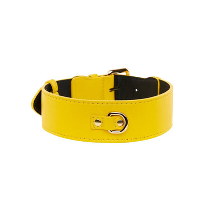 Yellow Italian Leather Classic Collar/Gold Classic Hardware