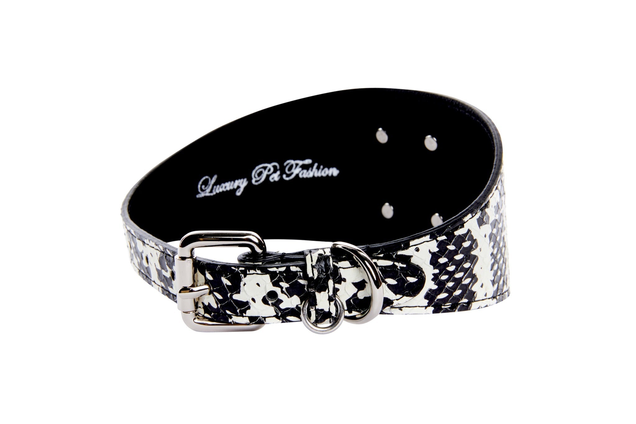 Black & White Snake Wide Style 3”Collar With Large Silver Rivet