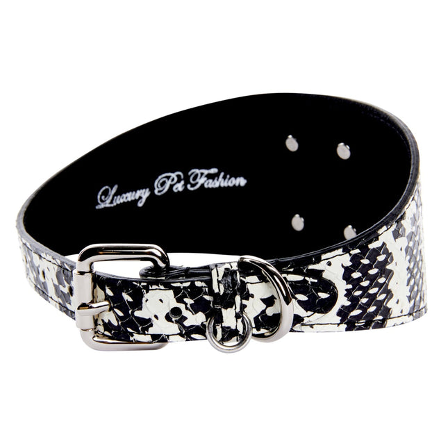 Black & White Snake Wide Style 3”Collar With Large Silver Rivet