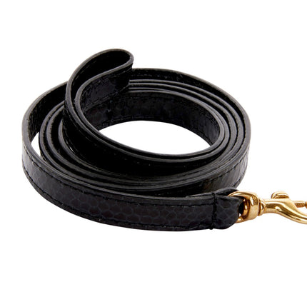 XS Black Snake Leash