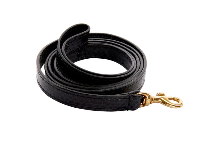 XS Black Snake Leash