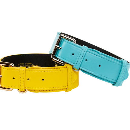 Turquoise Italian Leather/Silver Classic Hardware Collar & Yellow Italian Leather/Classic Gold Hardware Set