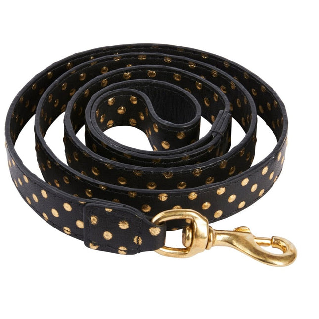 Black & Gold Polka Dot Leash