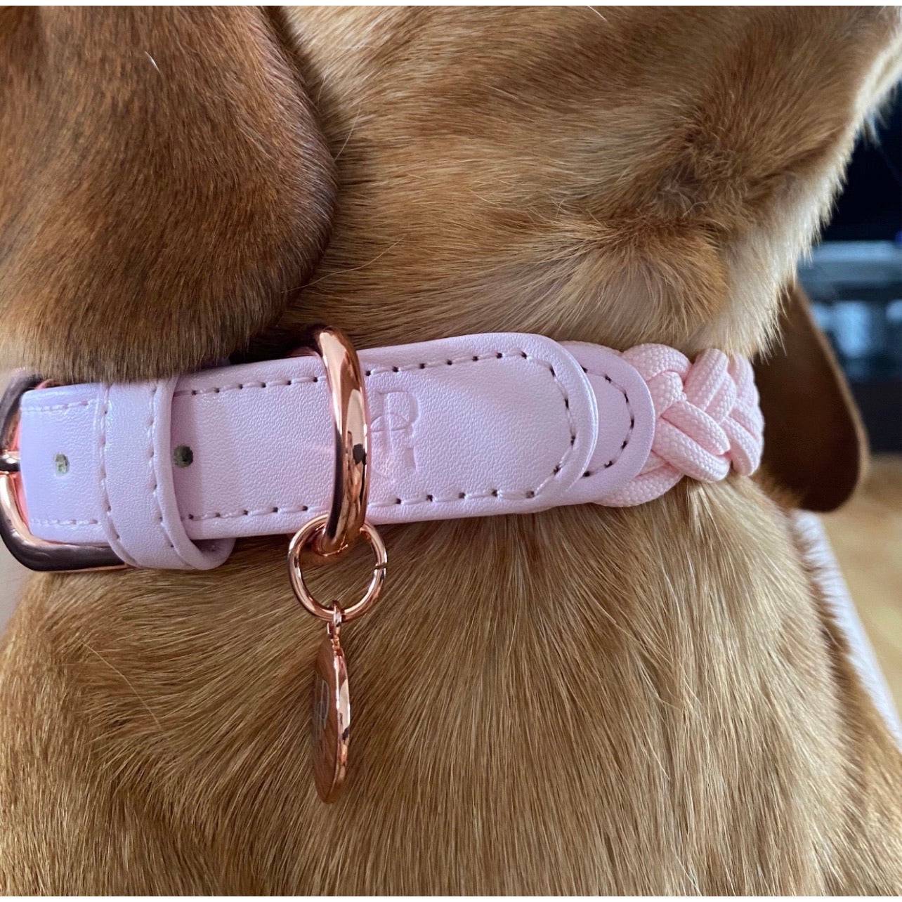 HGP ORIGINAL - Dog Collar Baby Pink Plaited