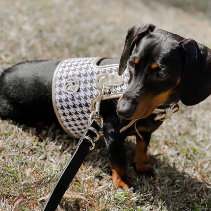 The Houndstooth Dog Harness