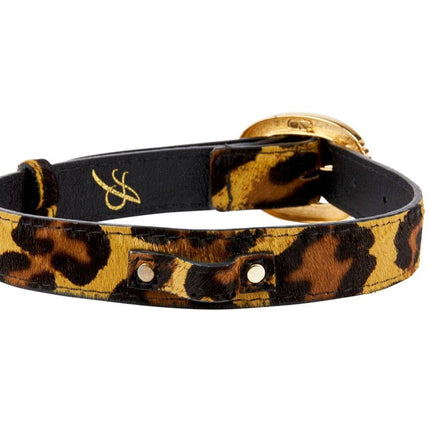 Leopard Print Hair On Hide Italian Leather Collar With Ornate Italian Hardware