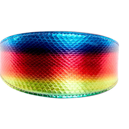 Pride Collection. Rainbow Snake 3” Wide Style Collar