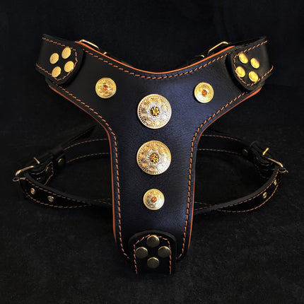 The ''Bijou'' harness Black & Orange Small to Medium Size