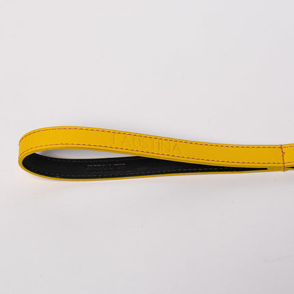 Yellow & Pink Braid-Leash