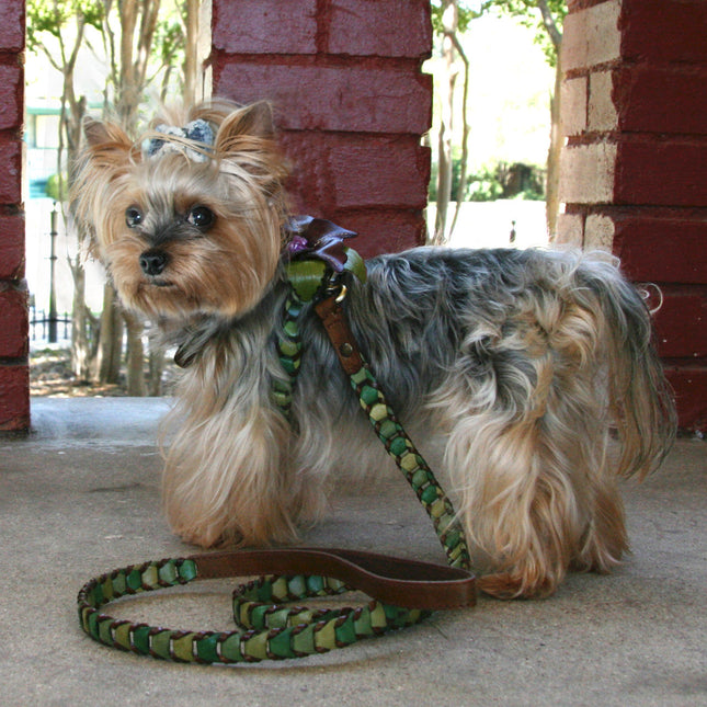 Shades of Green Leather Dog Harness