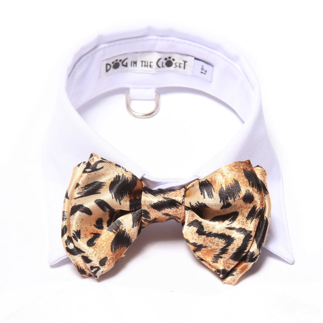 White Shirt Dog Collar with Leopard Bow Tie