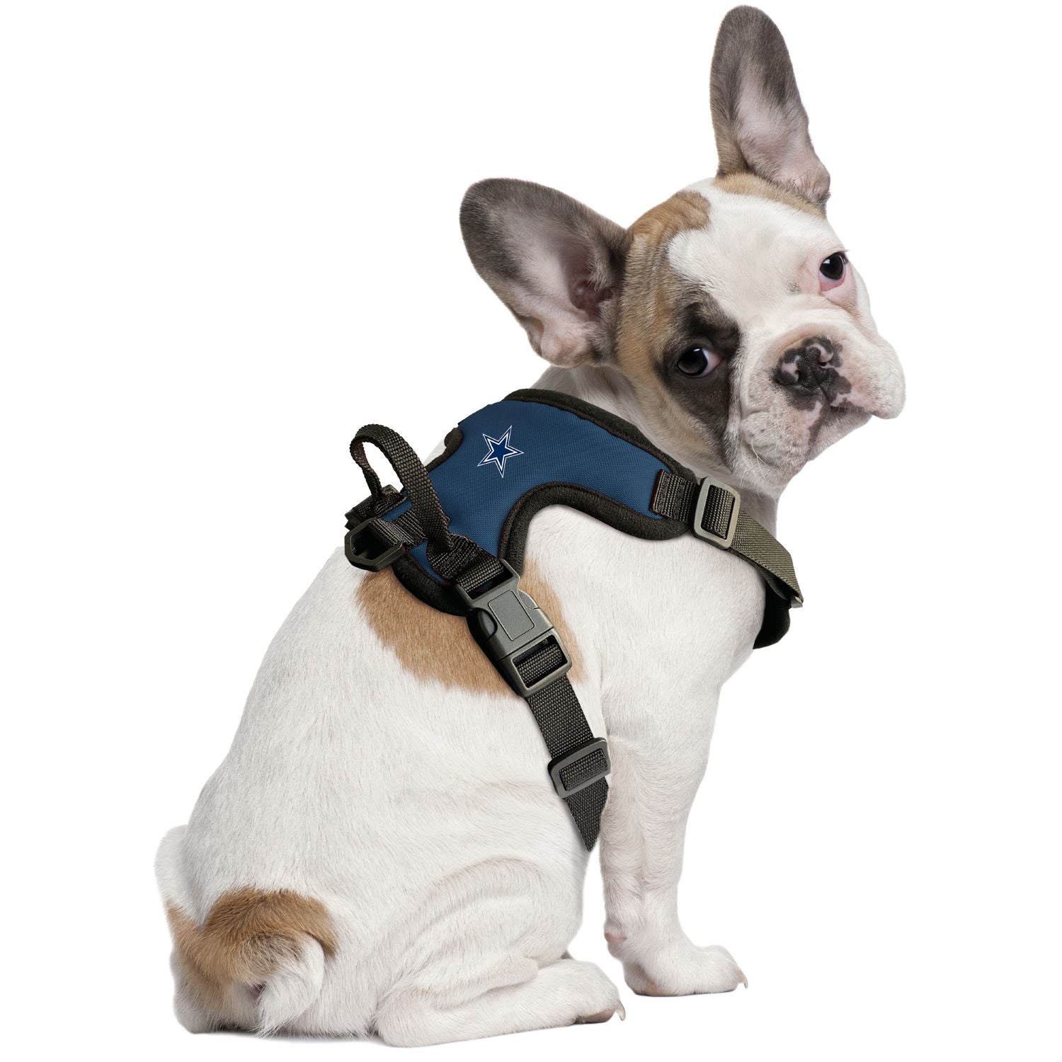 Dallas Cowboys Front Clip Pet Harness