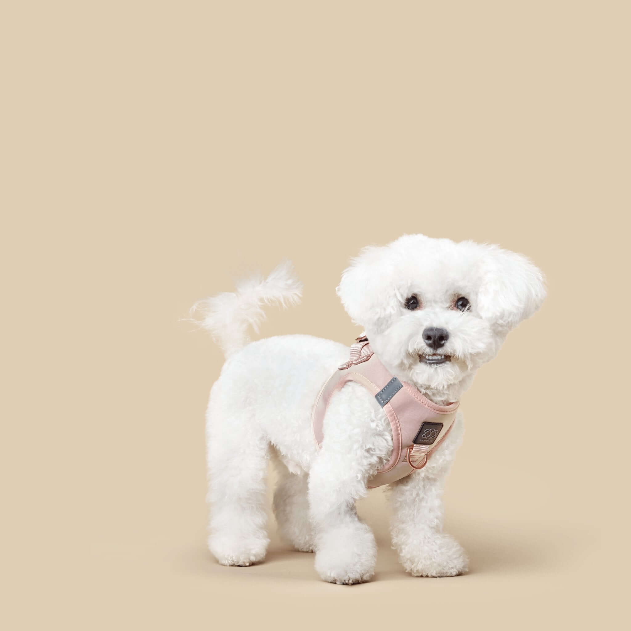 Luxe No-Pull Step-In Dog Harness - Blush