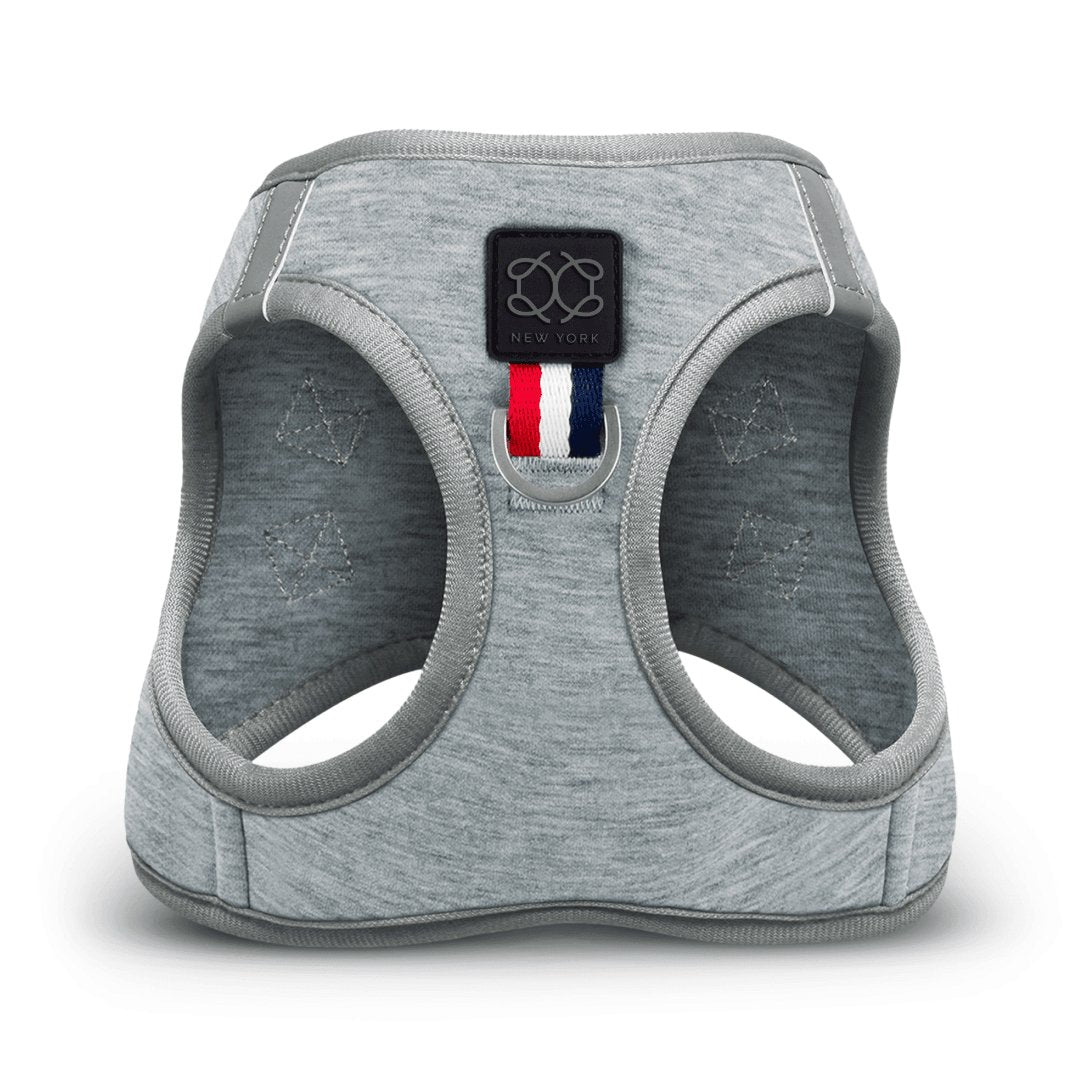 Luxe No-Pull Step-In Dog Harness - Champion