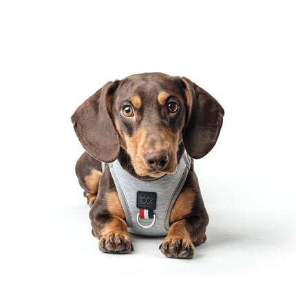 SoHo Dog Harness - Champion Gray