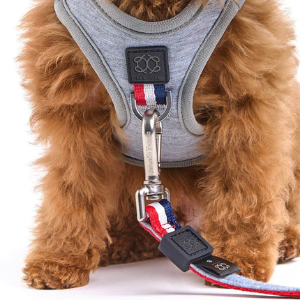 SoHo Dog Harness - Champion Gray