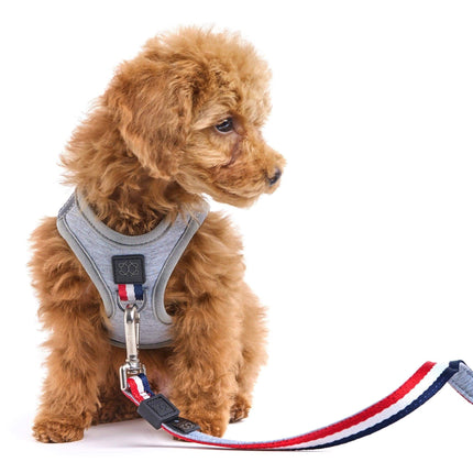 SoHo Dog Harness - Champion Gray