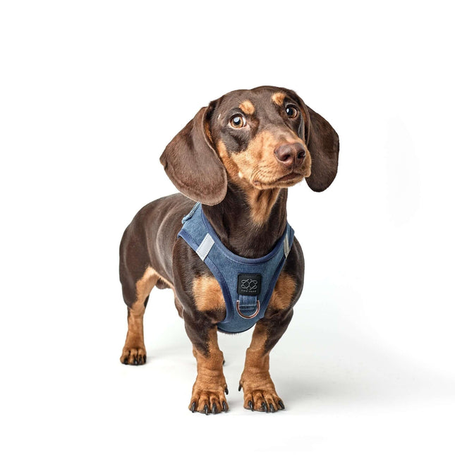 SoHo Dog Harness - Denim