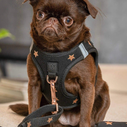 SoHo Dog Harness - Rockstar