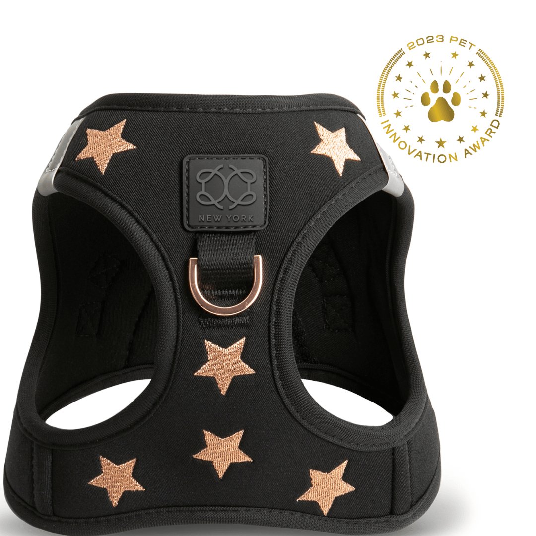 Luxe No Pull Step-In Dog Harness - Embroidered Rockstar