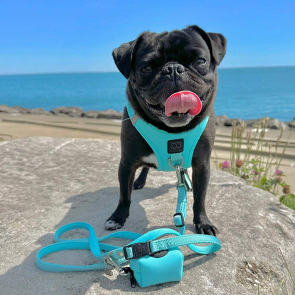 SoHo Dog Harness - Fifth Ave Blue