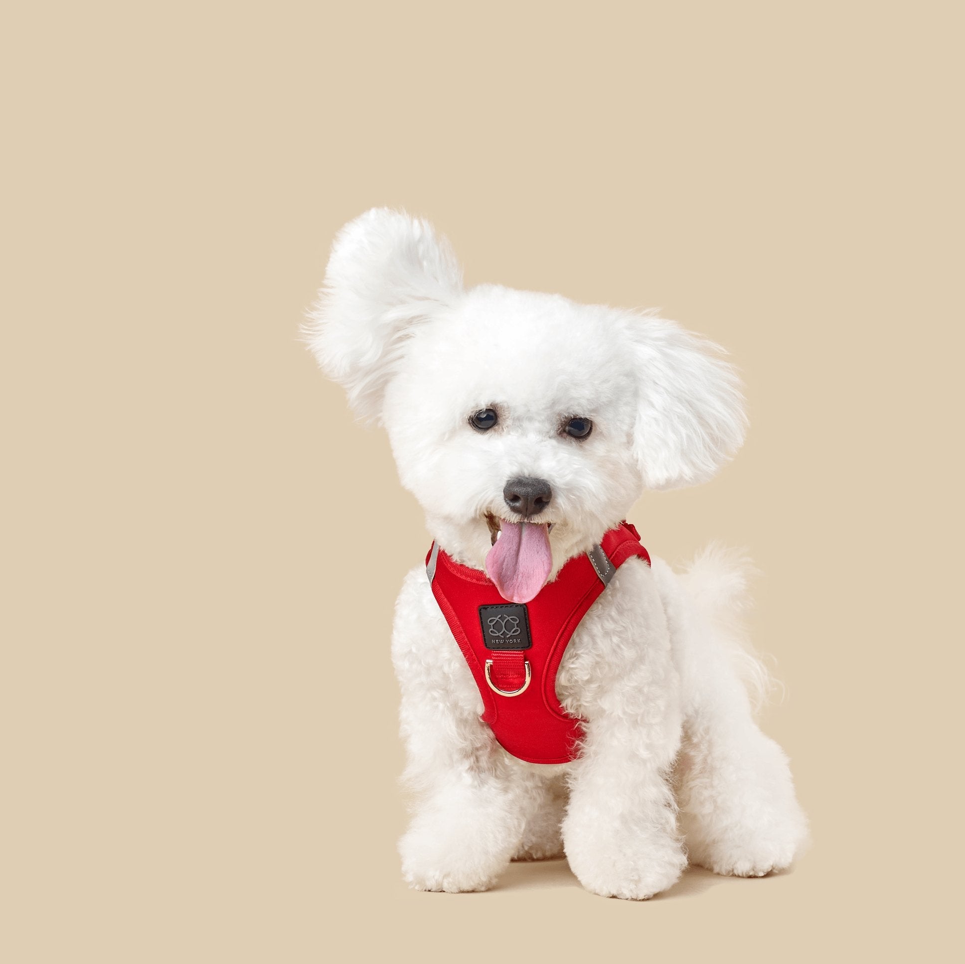 Luxe No-Pull Step-In Dog Harness - Iconic Red