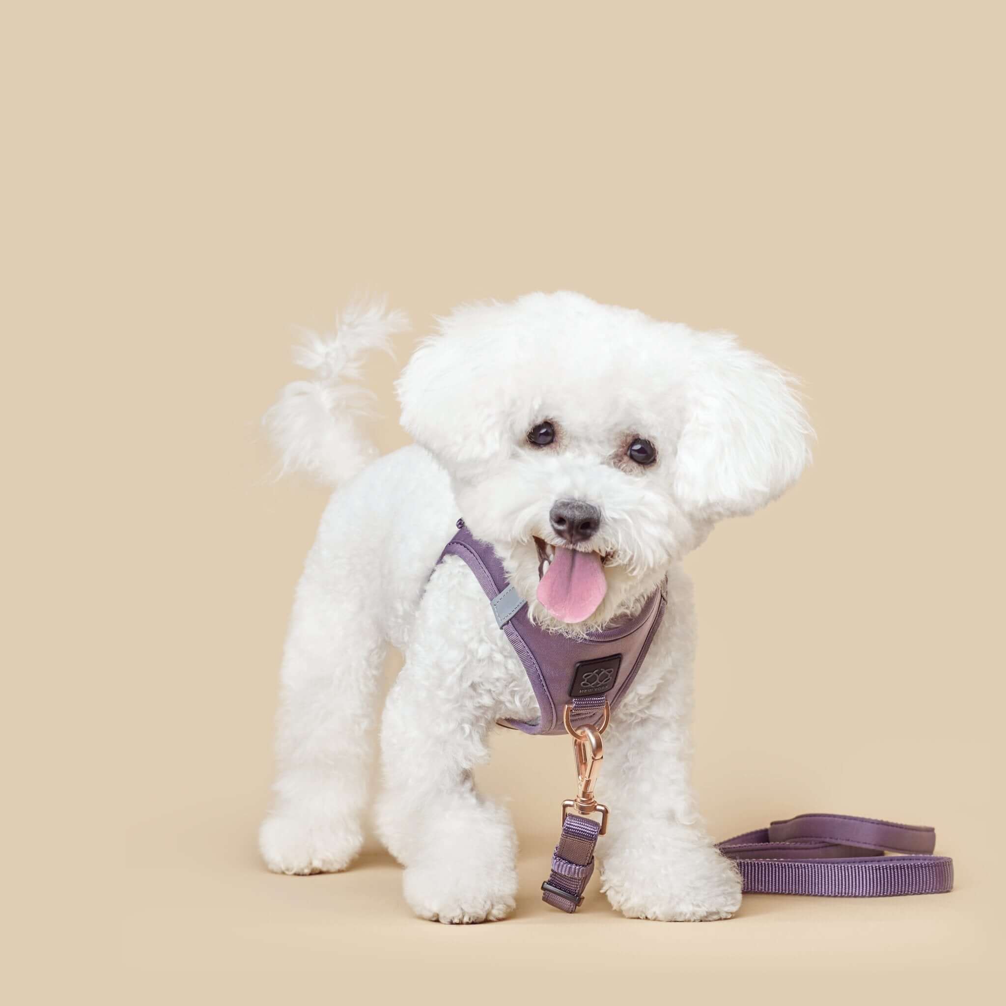 Luxe No Pull Step-In Dog Harness - Lilac Gray