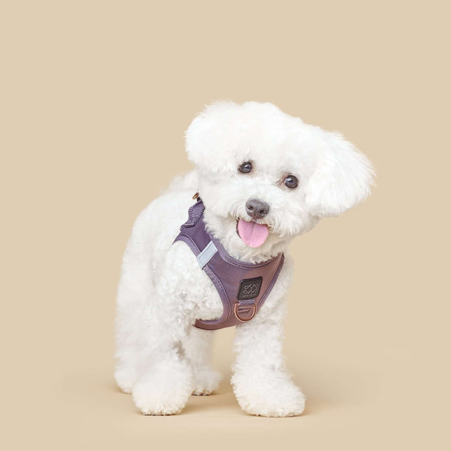 SoHo Dog Harness - Lilac Gray