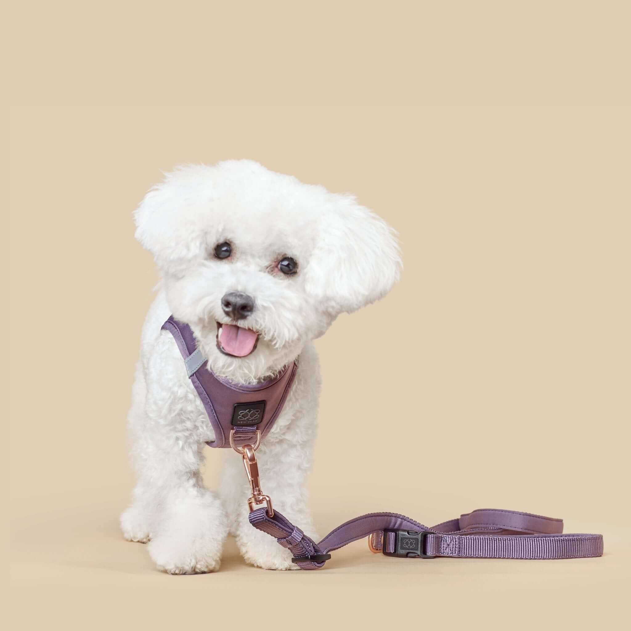 Luxe No Pull Step-In Dog Harness - Lilac Gray