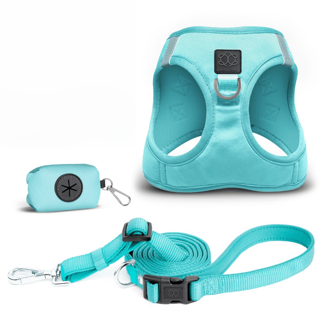 Luxe No-Pull, Step-In Dog Walking Set - Fifth Ave Blue