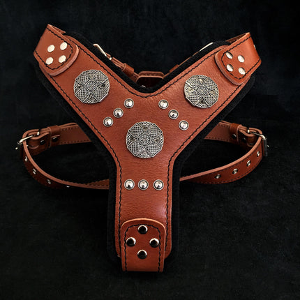 The "Maximus" silver harness