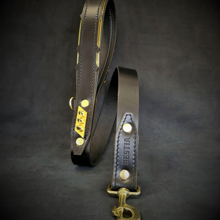 The ''Midas'' leash