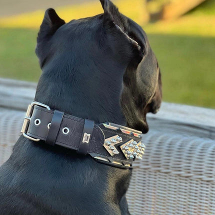 The ''Midas'' Collar Silver