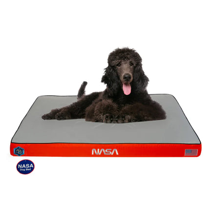 NASA Dog Bed in Nebula Blue