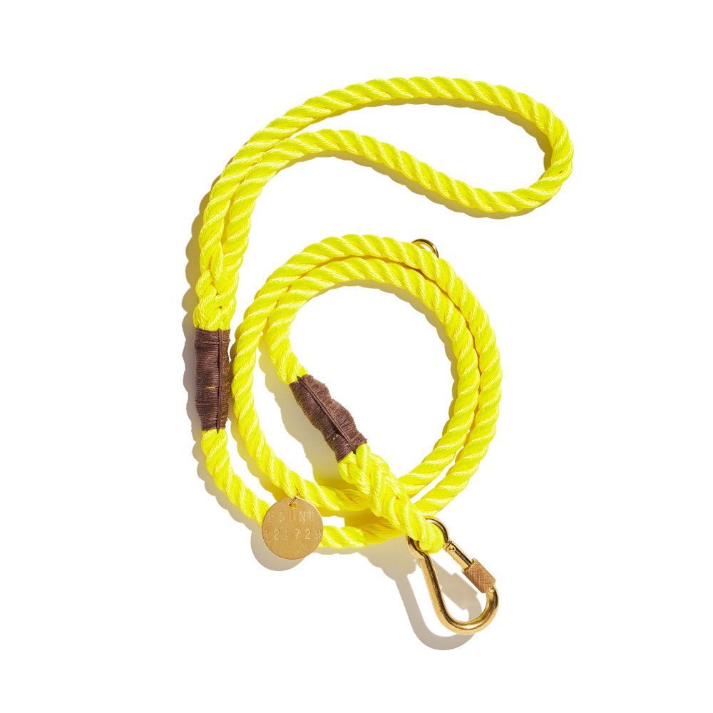 Neon Yellow Rope Leash, Standard