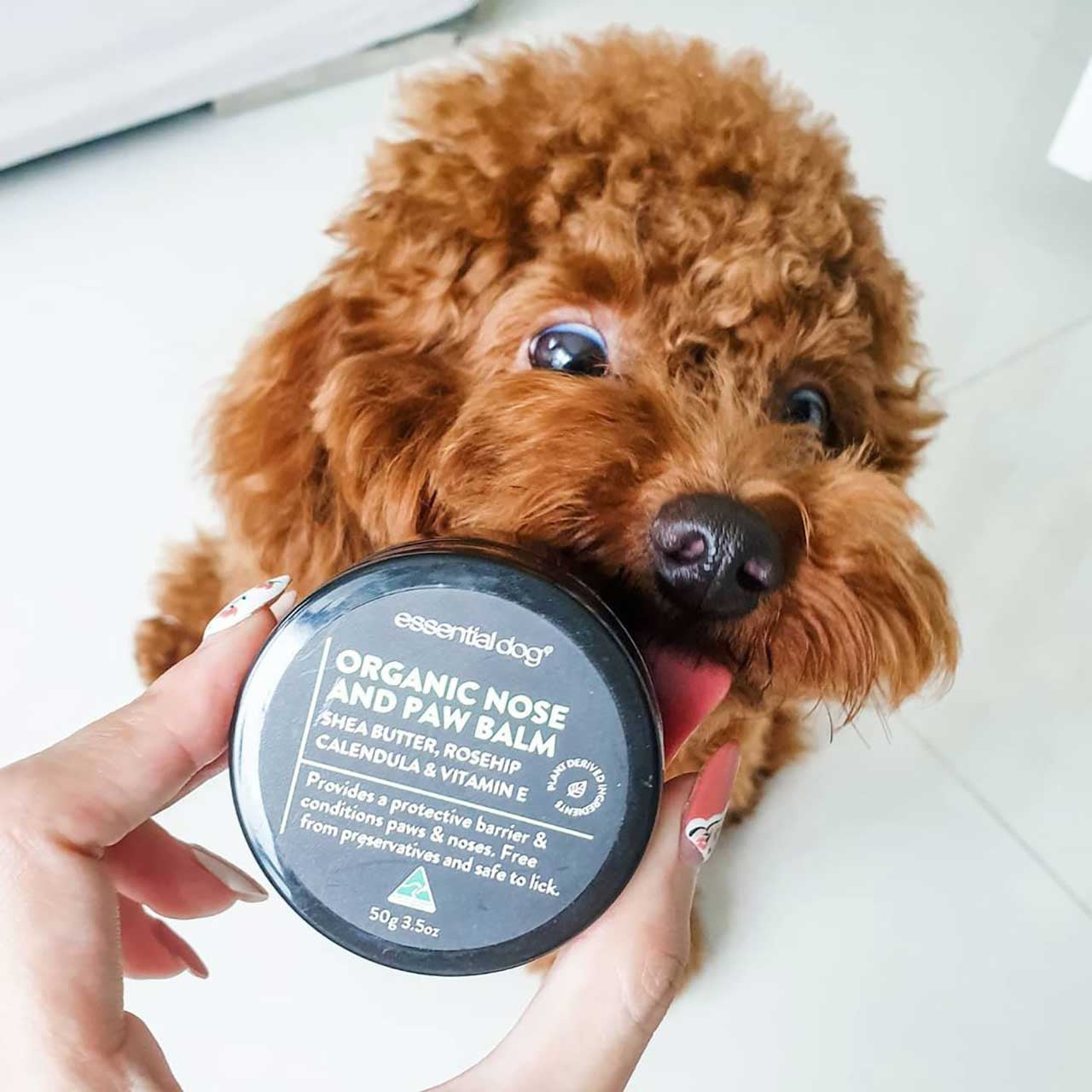 Essential Dog Organic Nose and Paw Balm