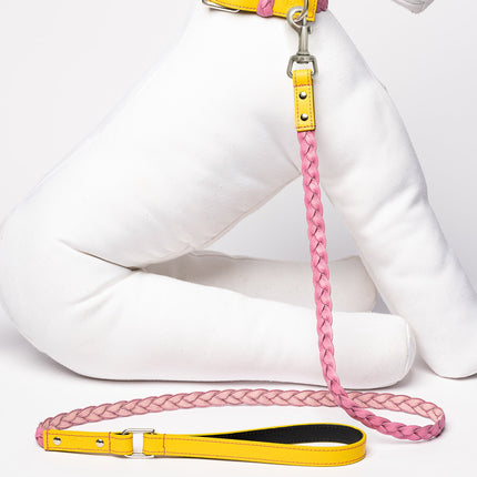 Yellow & Pink Braid-Leash