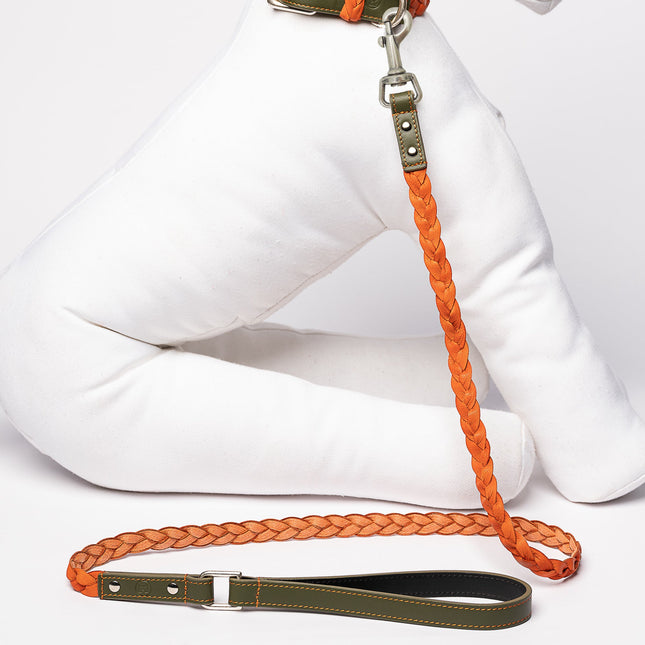 Green & Orange Braid-Leash