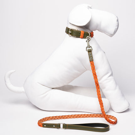 Green & Orange Braid-Leash