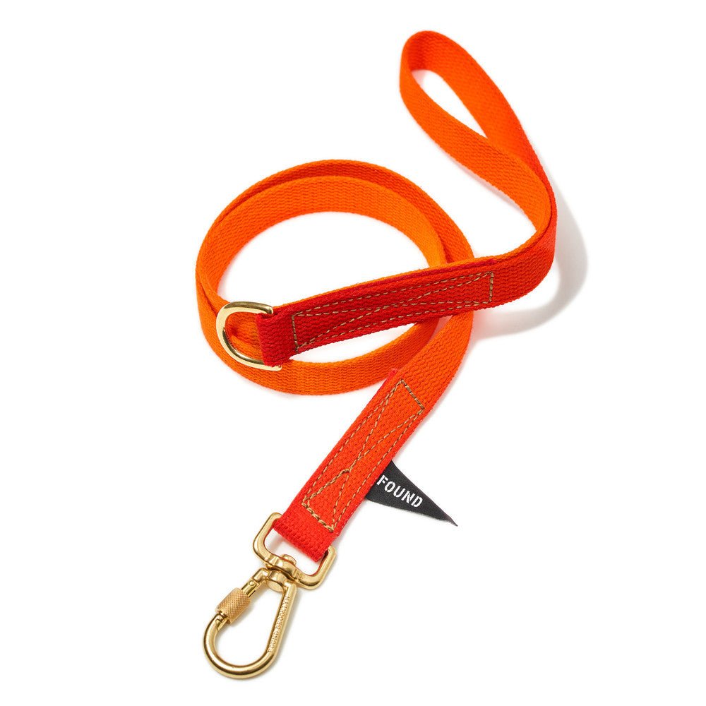 Orange To Magenta Cotton Dog Leash, Standard