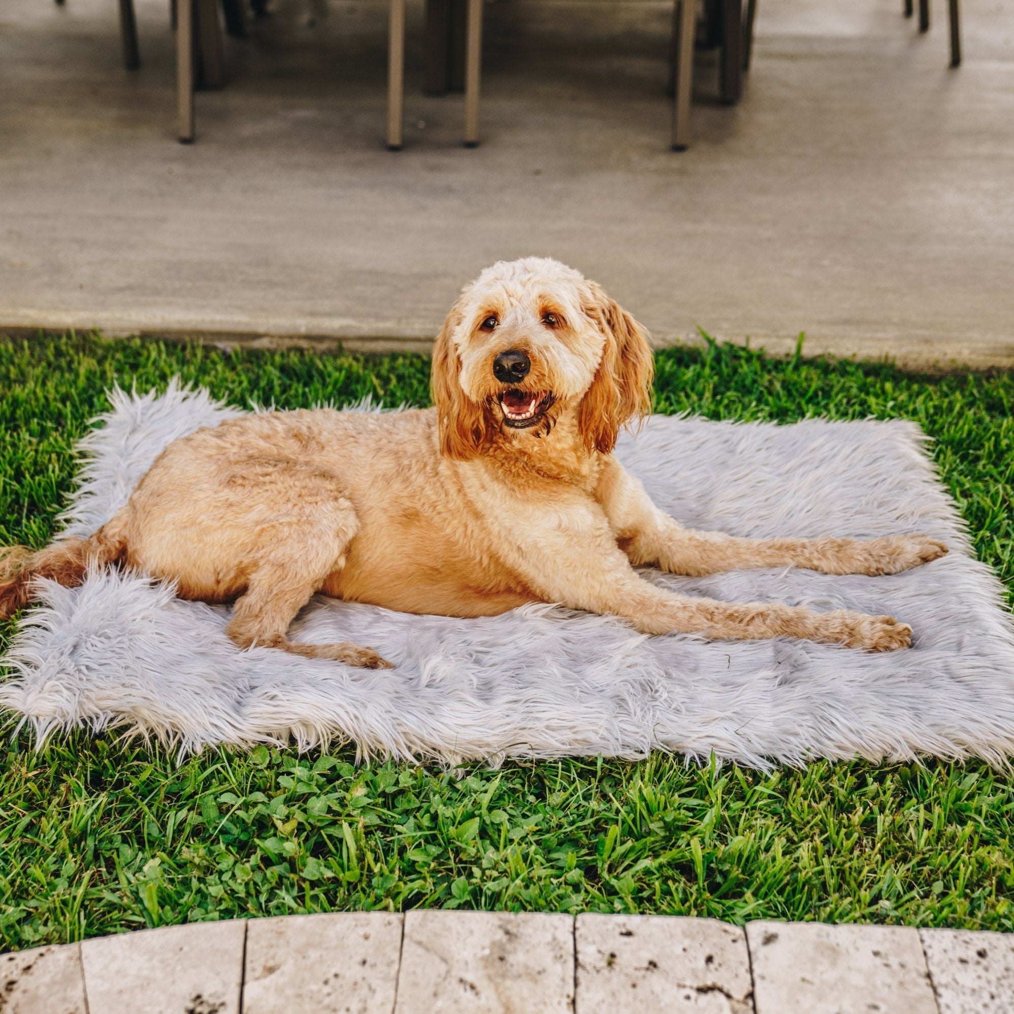 PupRug Portable Orthopedic Dog Bed - Grey