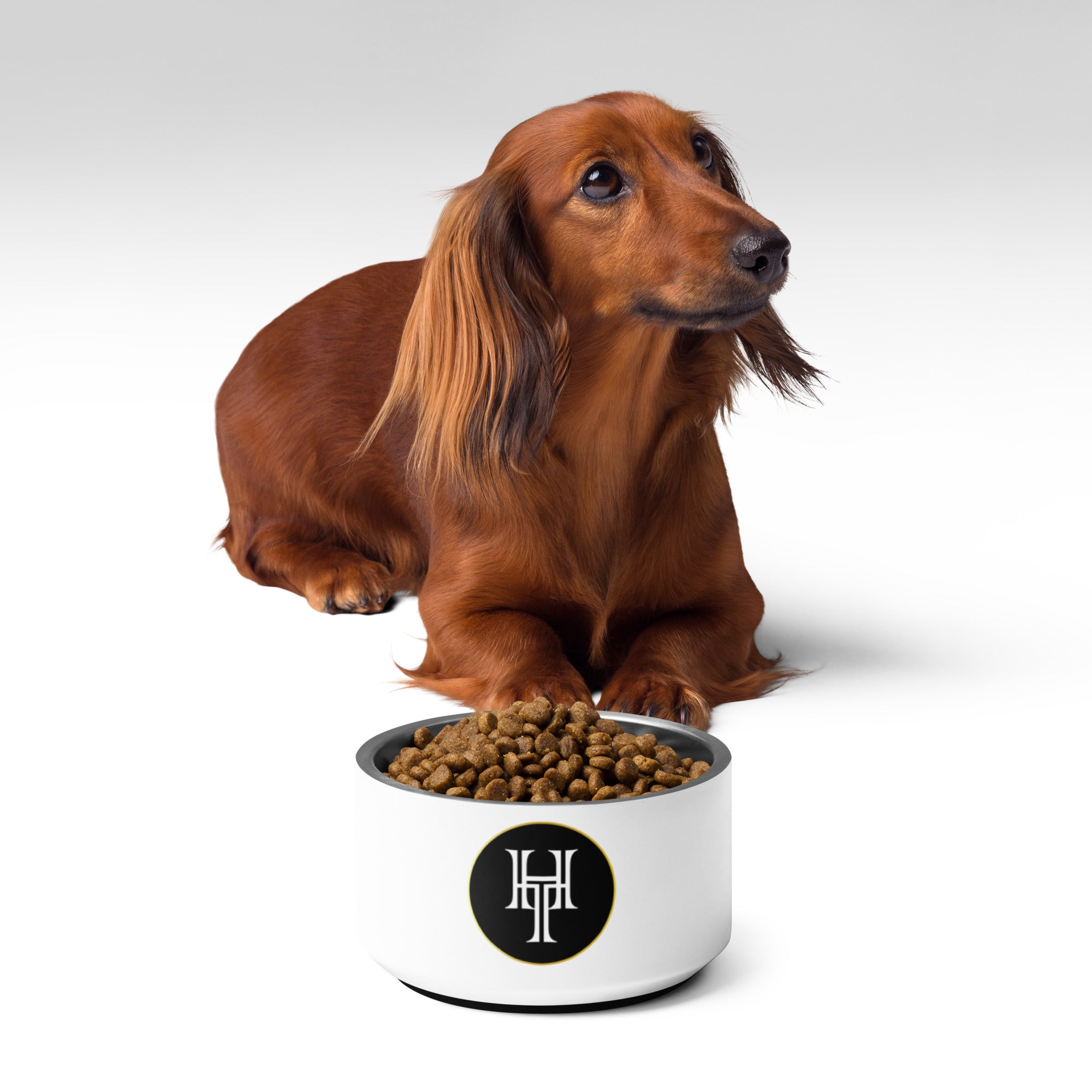 HT Pet bowl 18oz