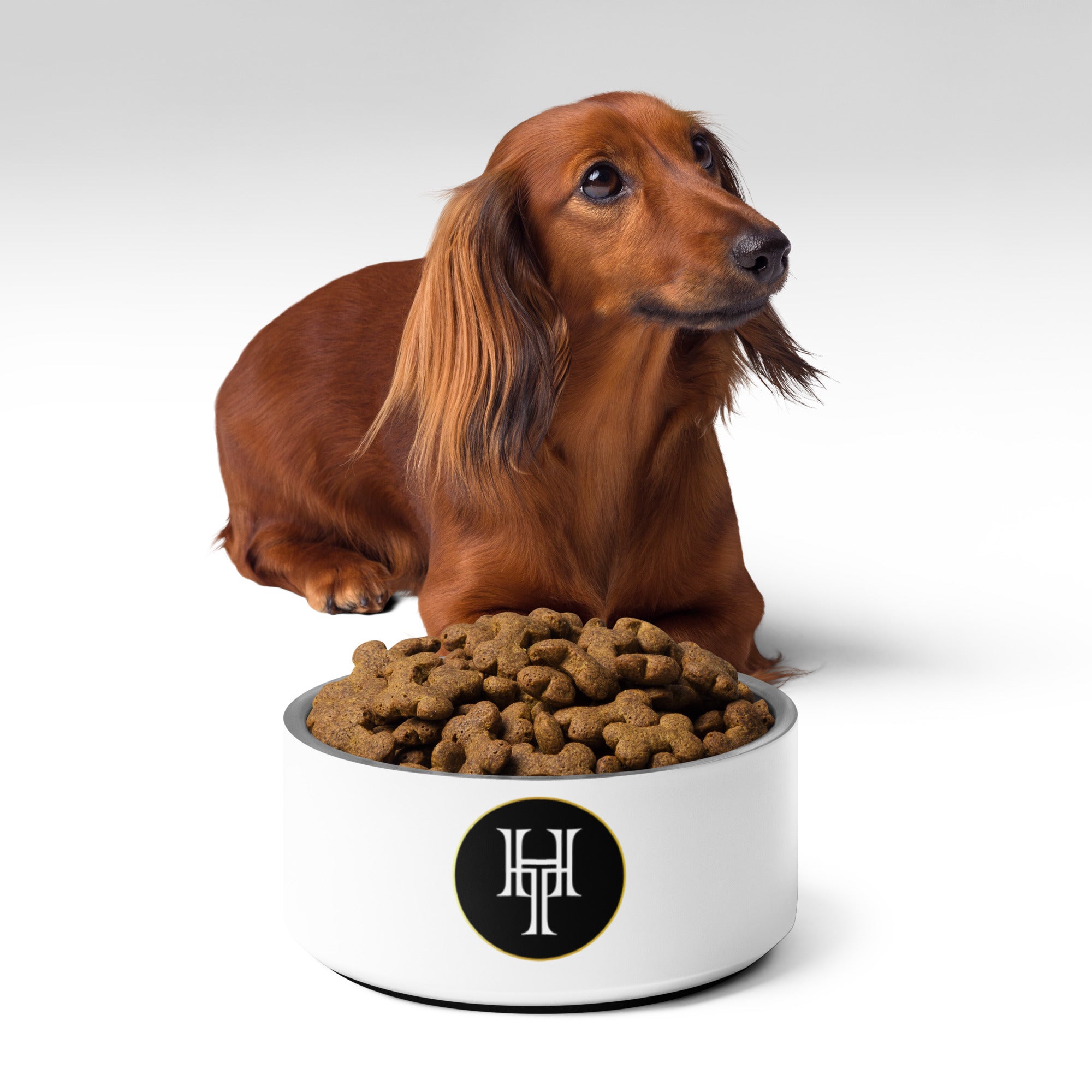 HT Pet bowl 32oz